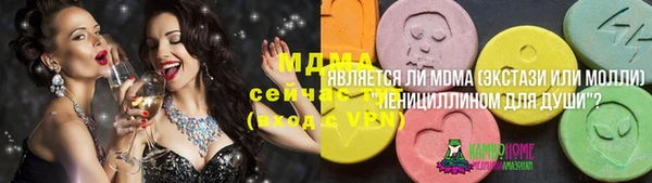 шишки Верея