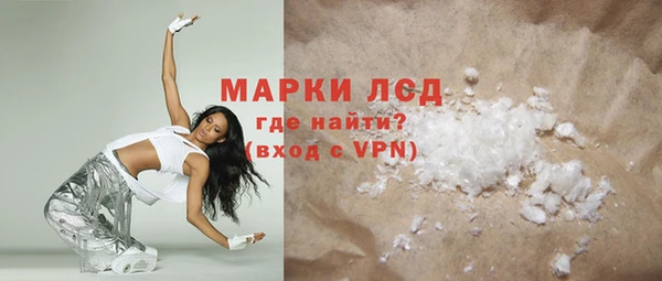 шишки Верея