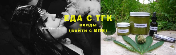 шишки Верея
