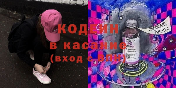 шишки Верея