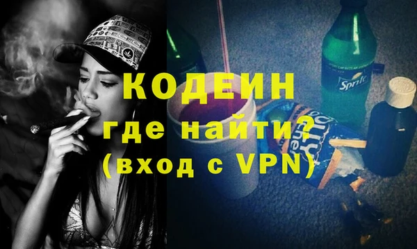 шишки Верея