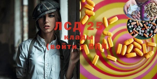 шишки Верея