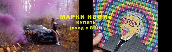 шишки Верея
