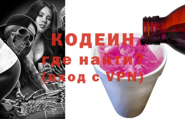 шишки Верея