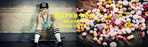 шишки Верея